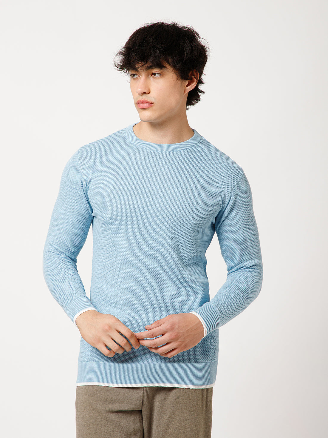 Rauth Men’s Full Sleeve Round Neck Textured Knit Sweater Regular Fit Casual Pullover Stylish Winter Wear for Men
