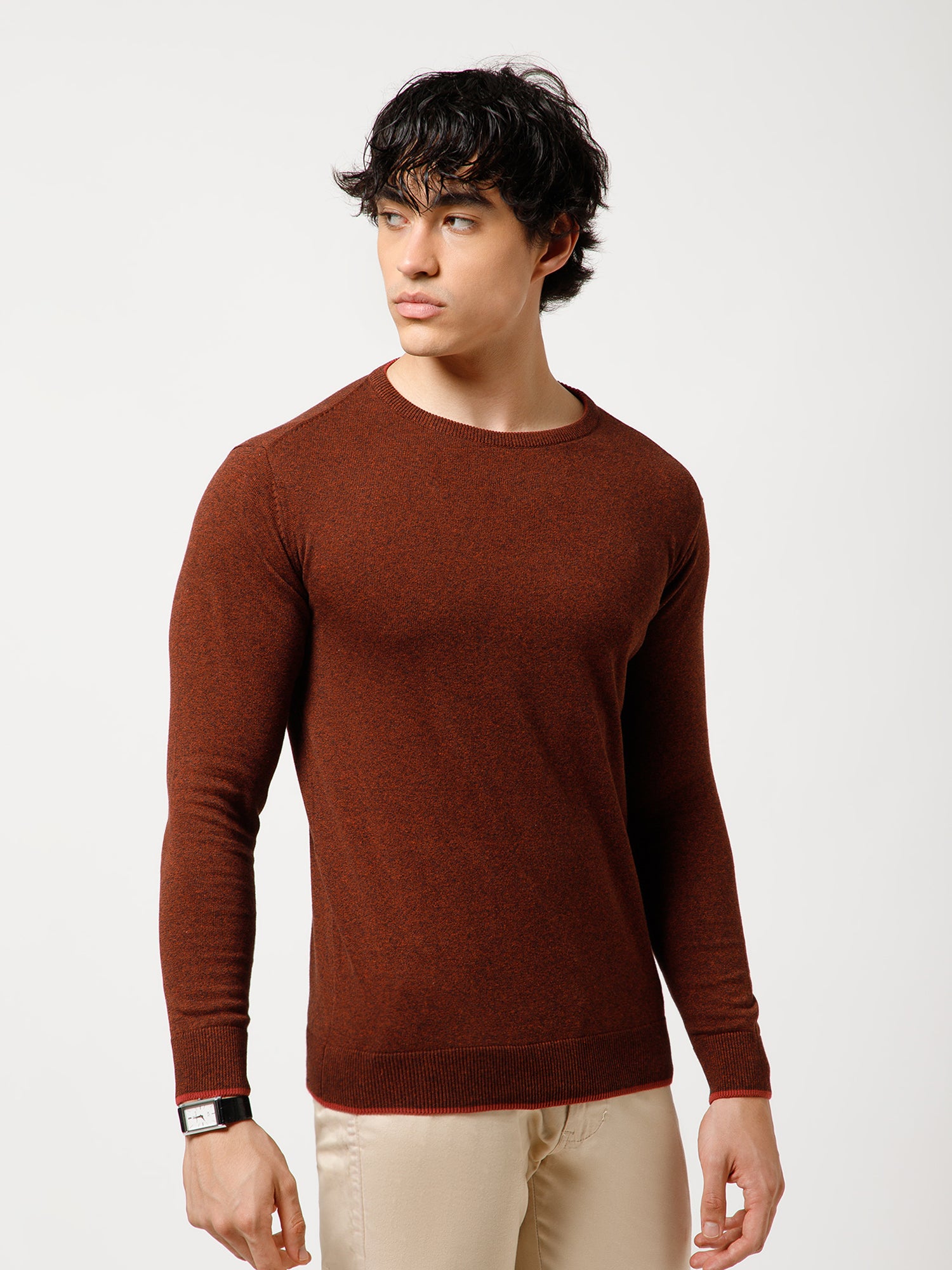 color-Brown1