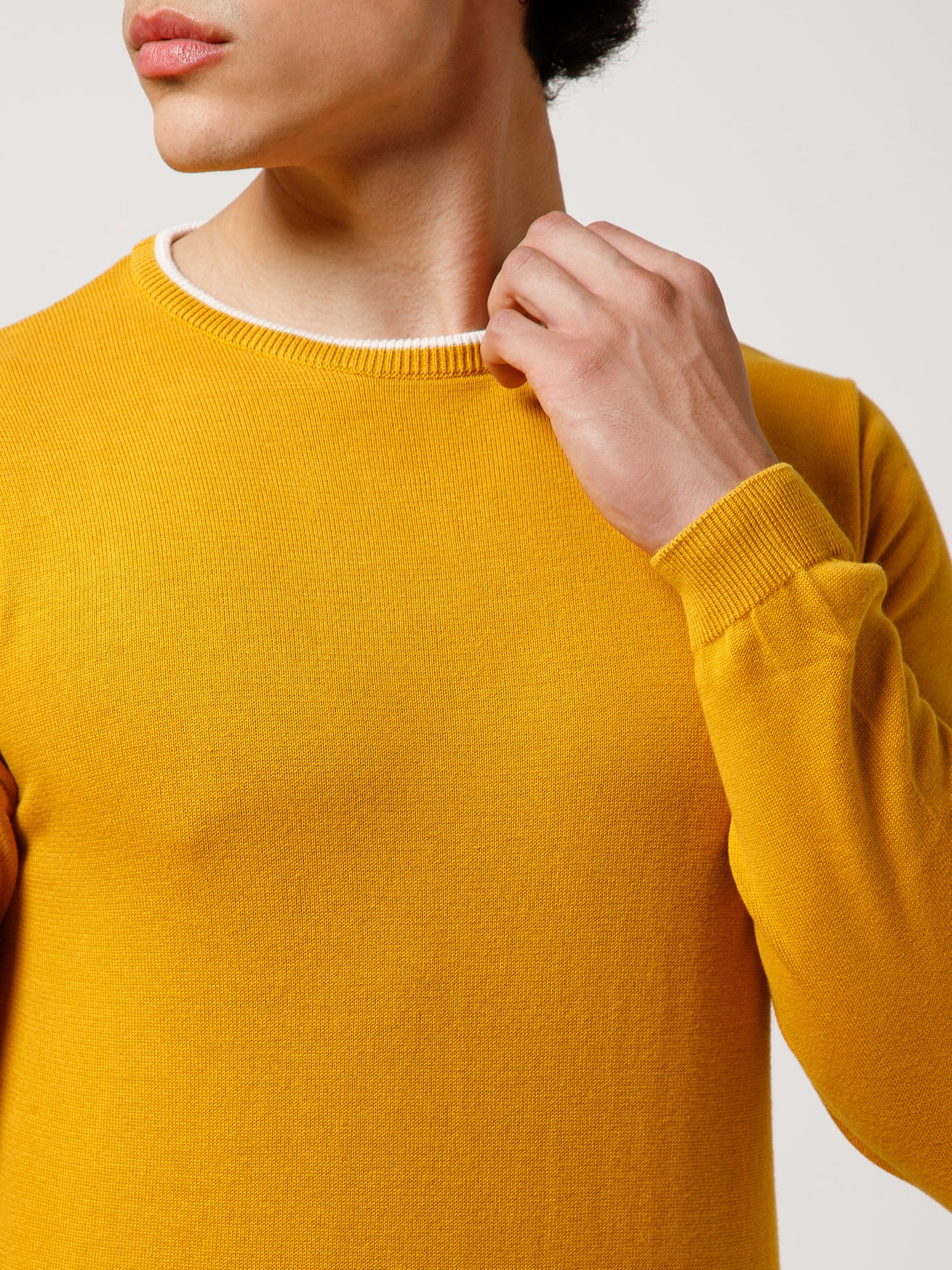 color-Mustard