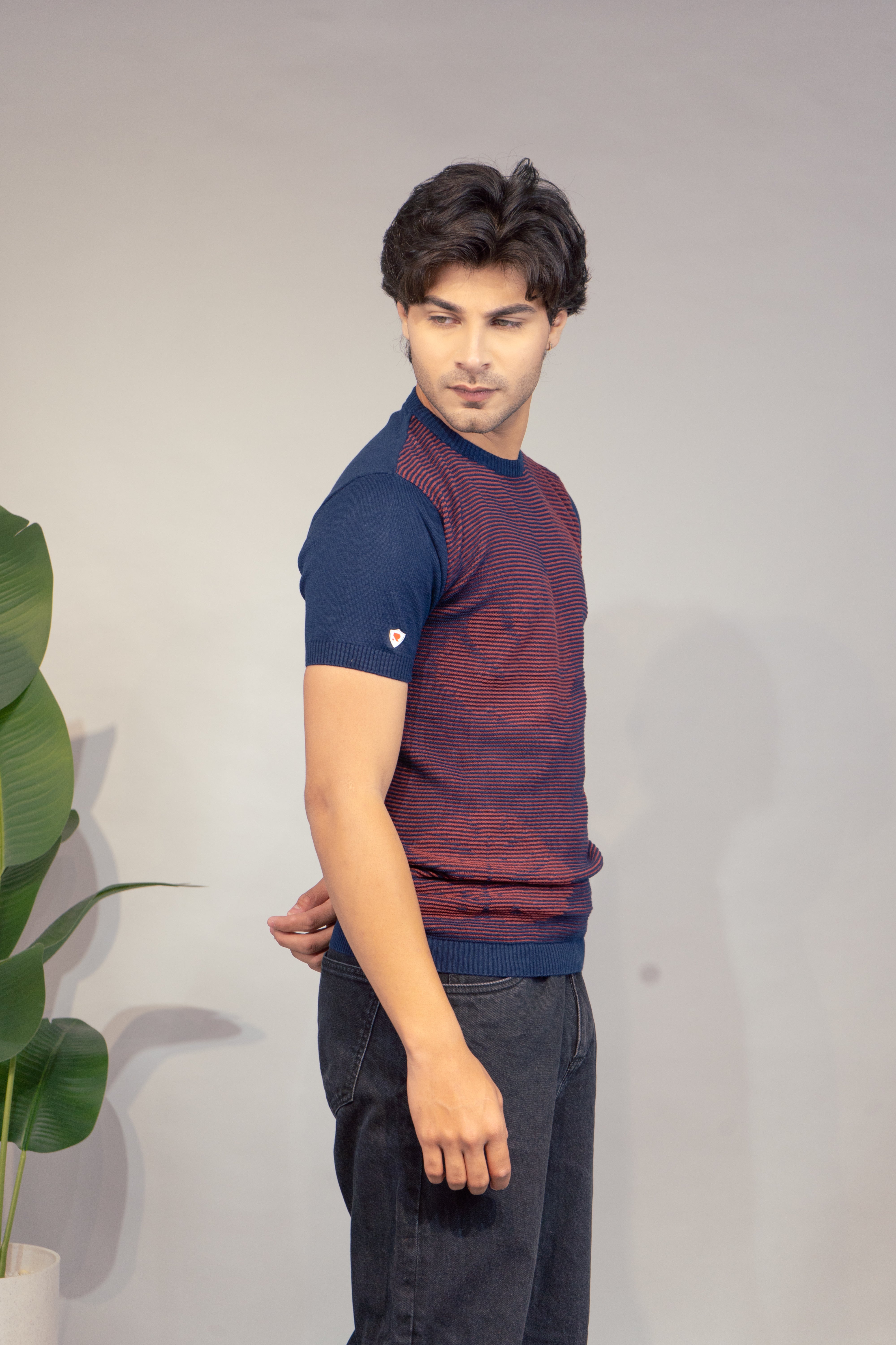 Men Striped T-Shirt | Stylish Round Neck Half Sleeve Casual T-Shirt for Men | Horizontal Stripe Pattern Summer Wear T Shirt