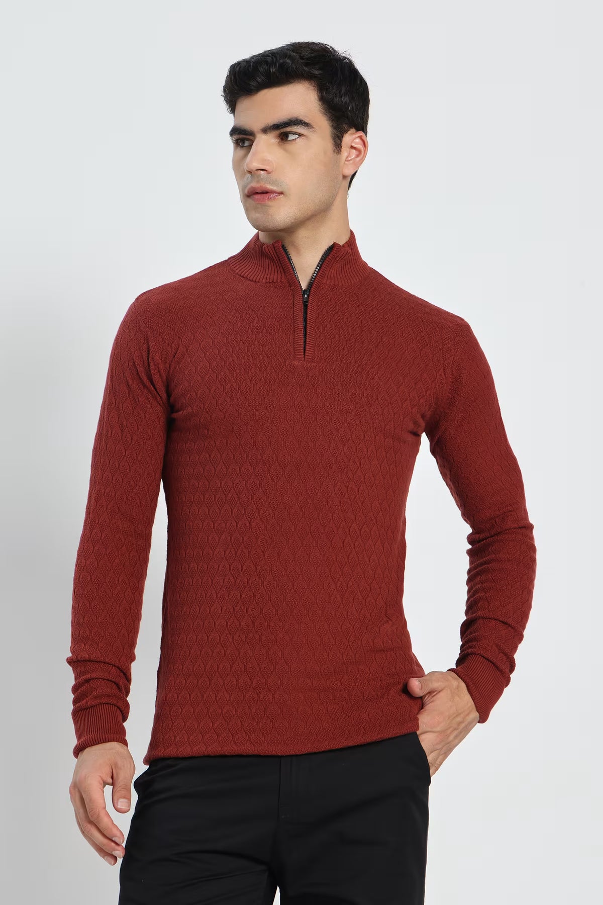 Rauth Men's Solid Half-Zip High Neck Full Sleeve Casual Knitted T-Shirt / Sweater
