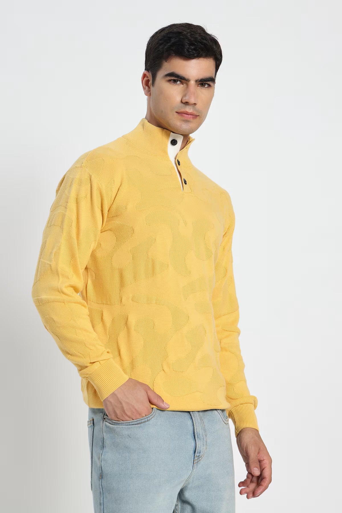 Rauth Men Textured Knitted Mock Neck Full Sleeve Casual T-Shirt / Sweater
