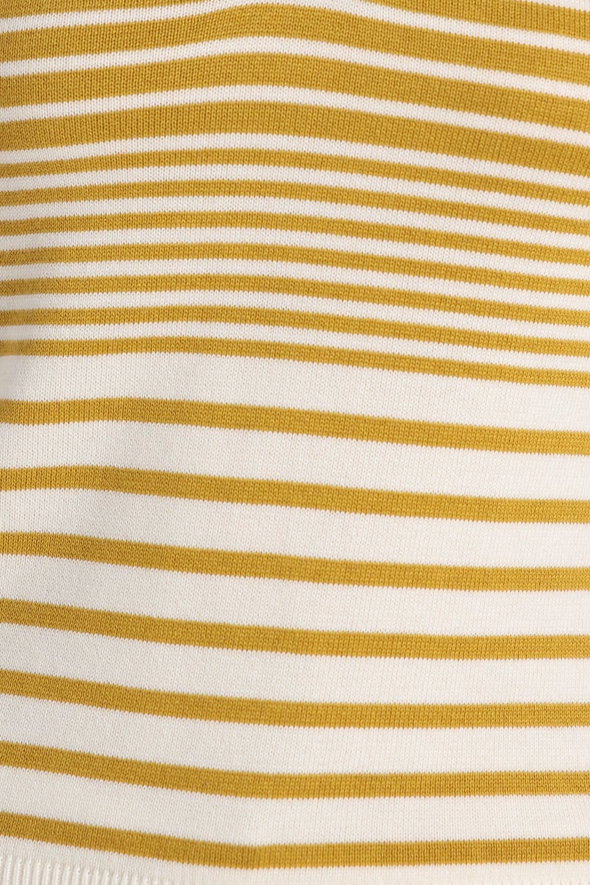 Rauth Women’s Striped Polo Neck T-Shirt Half Sleeve Knitted Top Regular Fit Casual Stylish Ribbed Collar Button Placket T-Shirt for Women