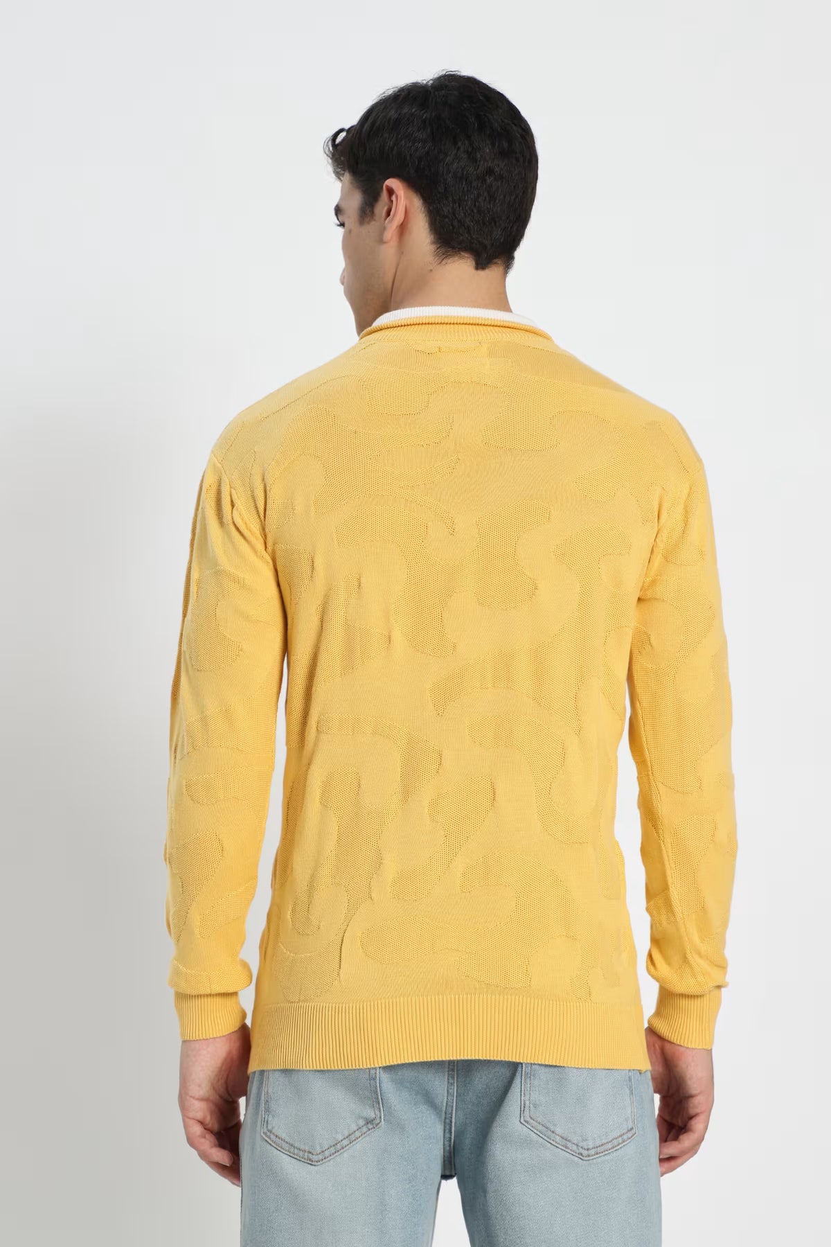 Rauth Men Textured Knitted Mock Neck Full Sleeve Casual T-Shirt / Sweater